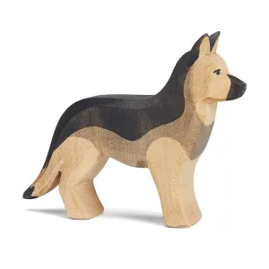 Ostheimer German Shepherd