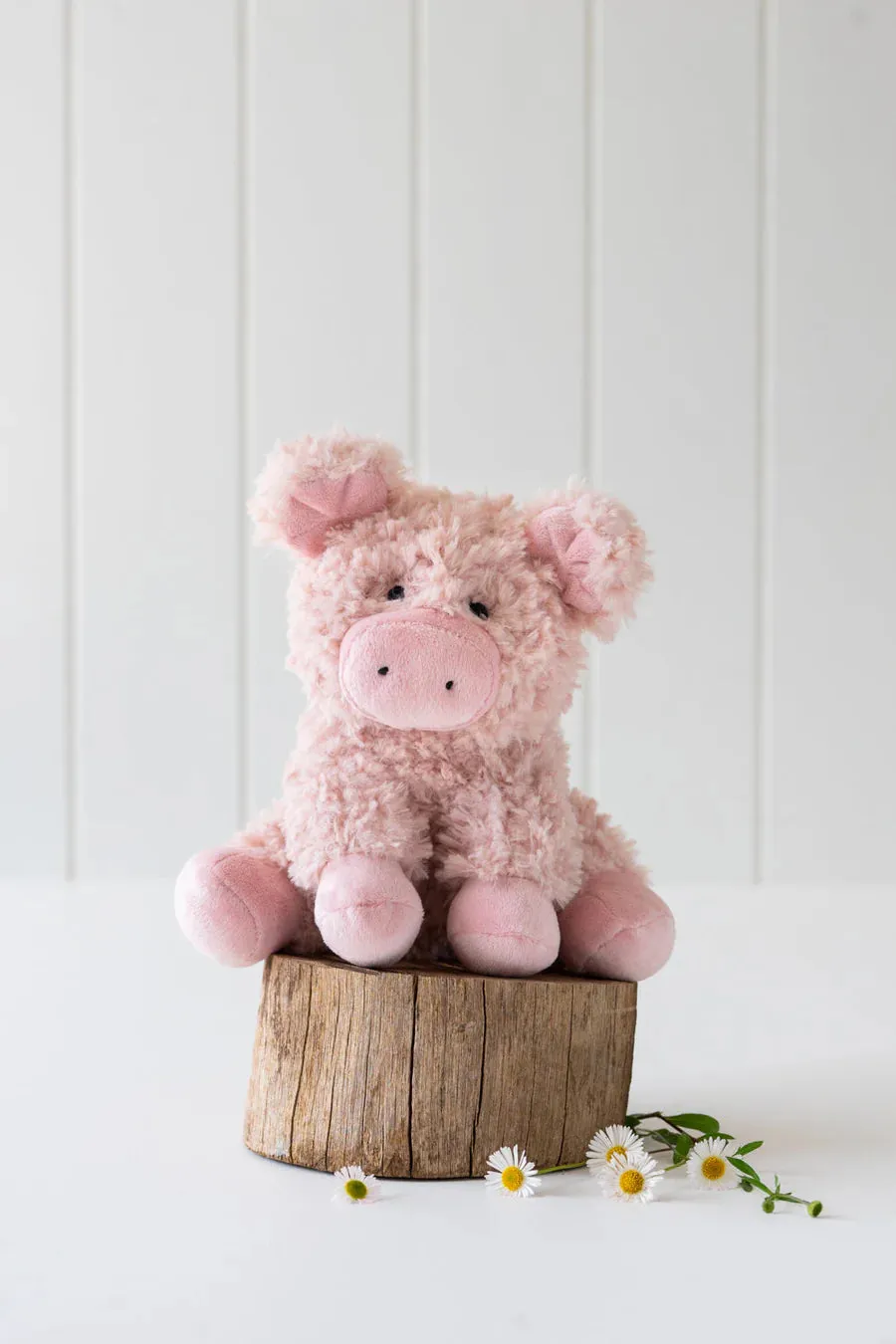 Poppy Pig