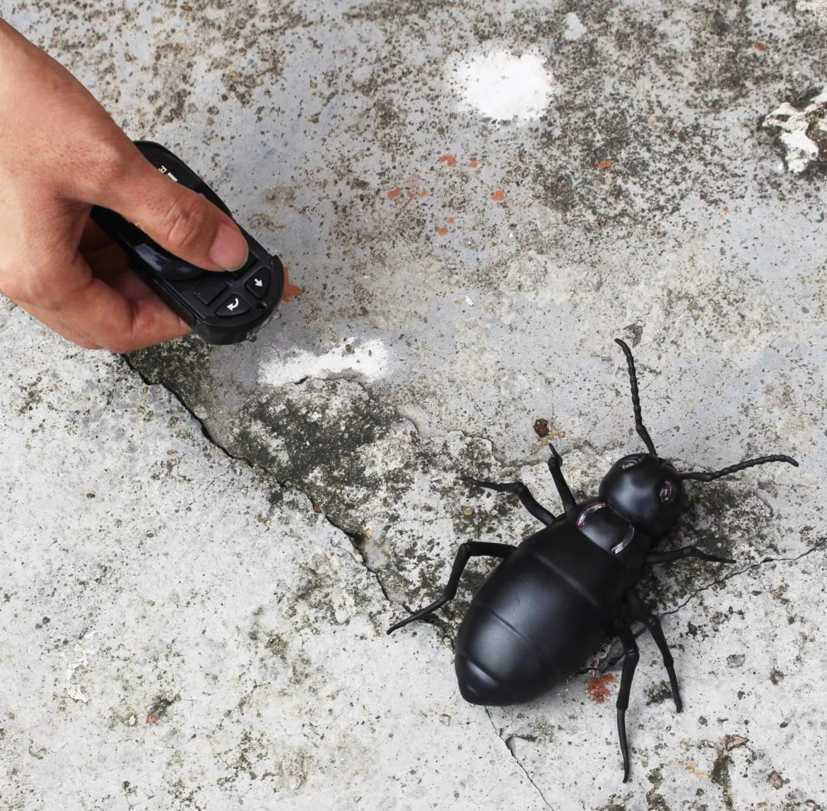 Remote control Ant - rc Ant - Giant ant for kids - real looking prank toys Ant -PLAYMASTER TOYS