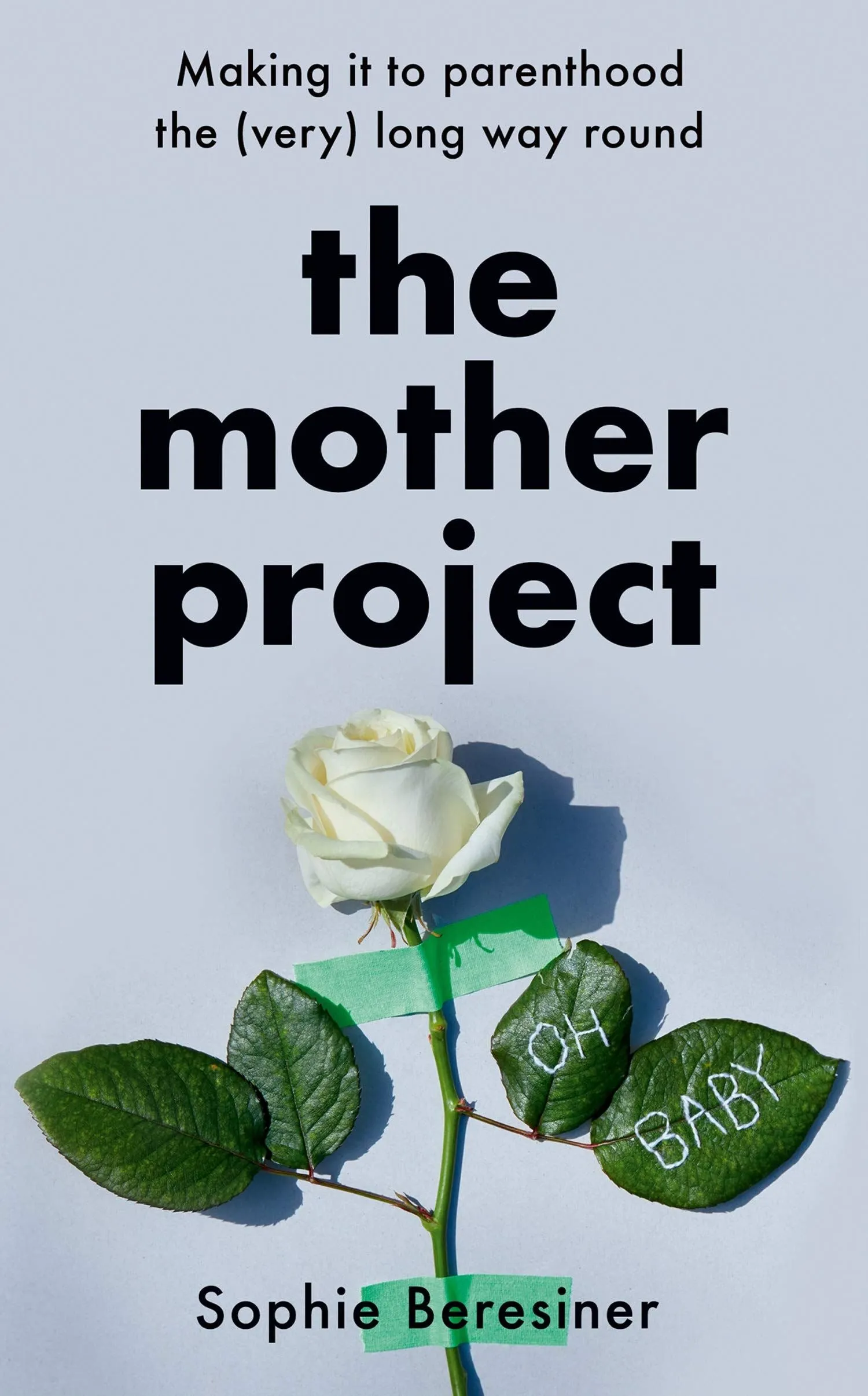The Mother Project Book